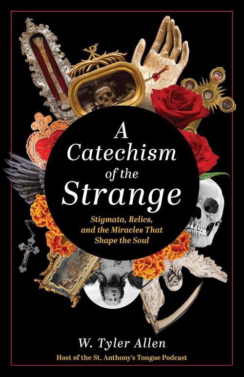 A Catechism of the Strange by W. Tyler Allen