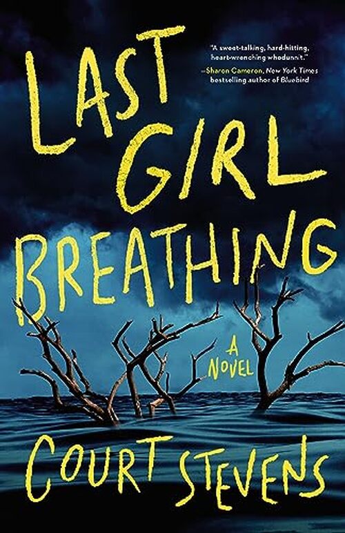 Last Girl Breathing by Court Stevens