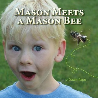 Mason Meets A Mason Bee by Dawn Pape