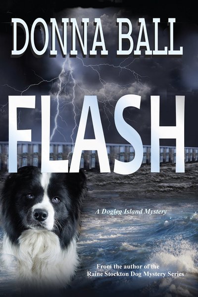Flash by Donna Ball