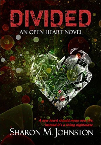 Divided by Sharon M Johnston