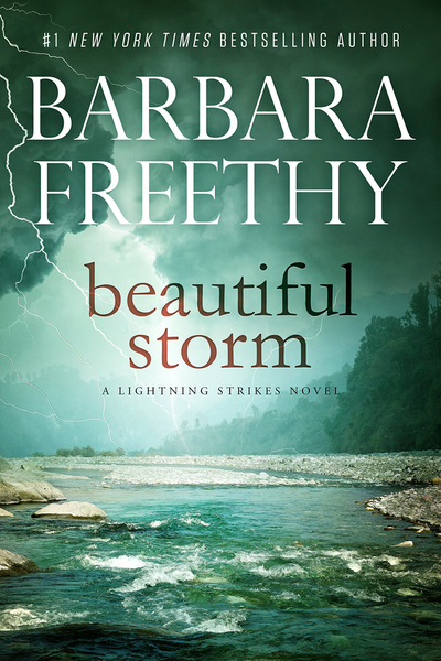 Beautiful Storm by Barbara Freethy