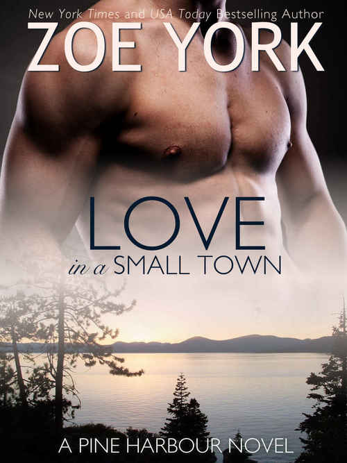 Love in a Small Town by Zoe York