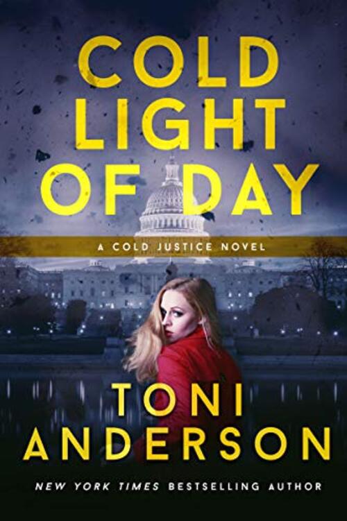 Cold Light of Day by Toni Anderson