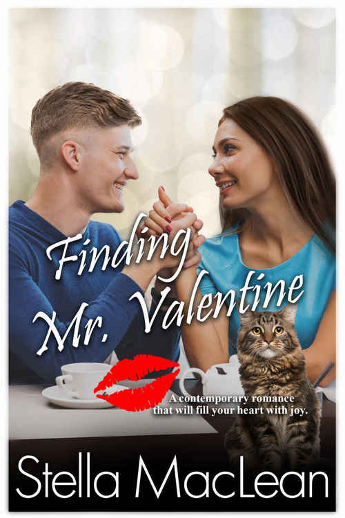 Finding Mr. Valentine by Stella MacLean