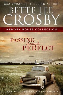 Passing Through Perfect by Bette Lee Crosby