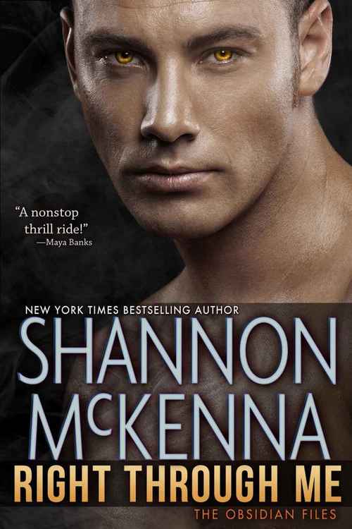 Right Through Me by Shannon McKenna