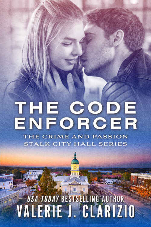 The Code Enforcer by Valerie J. Clarizio
