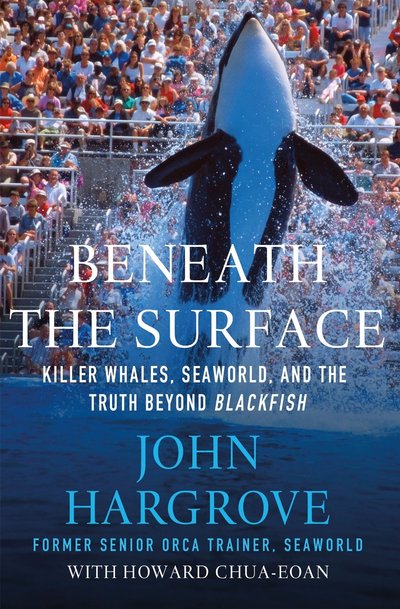 Beneath the Surface by John Hargrove