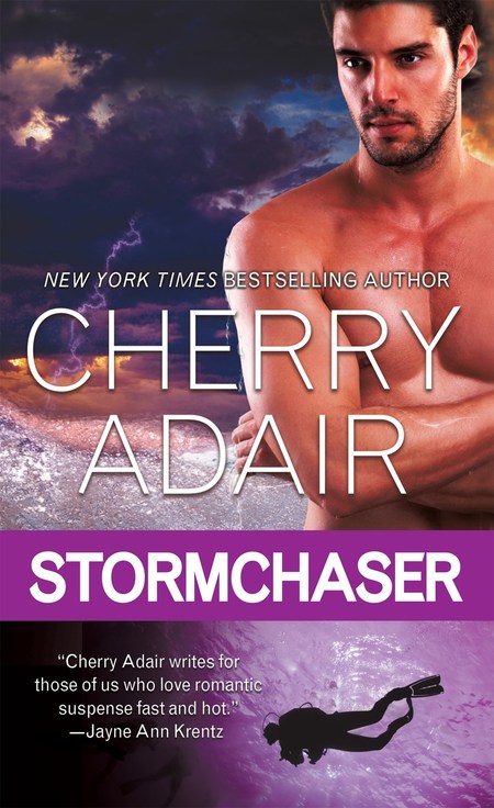 Stormchaser by Cherry Adair