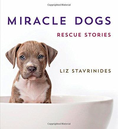 Miracle Dogs