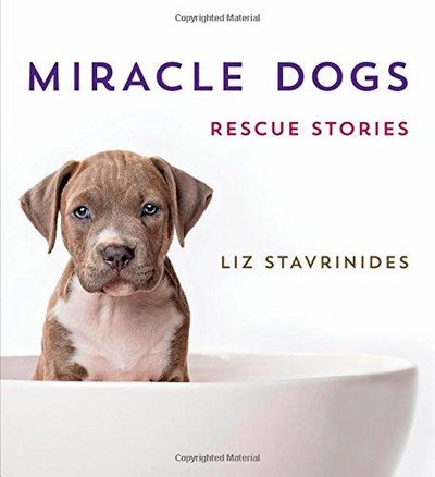 Miracle Dogs by Liz Stavrinides