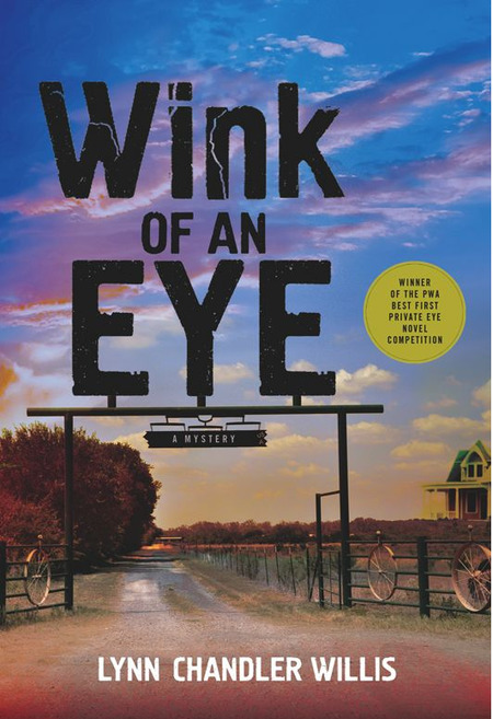 Wink Of An Eye by Lynn Chandler Willis