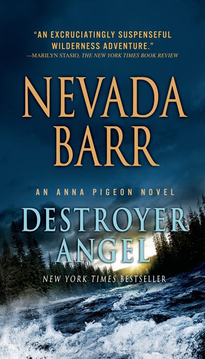 Destroyer Angel by Nevada Barr