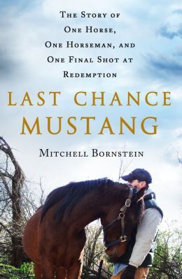 Last Chance Mustang by Mitchell Bornstein