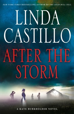 After the Storm by Linda Castillo