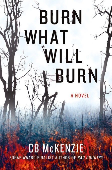 Burn What Will Burn by C. B. McKenzie