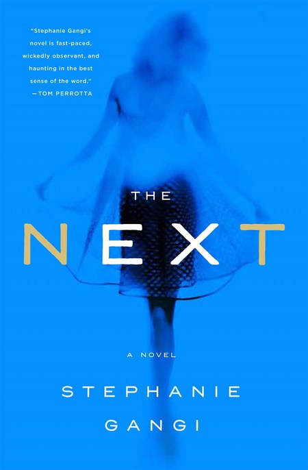The Next by Stephanie Gangi