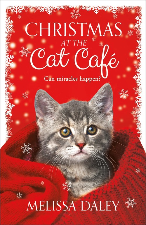 Christmas at the Cat Caf