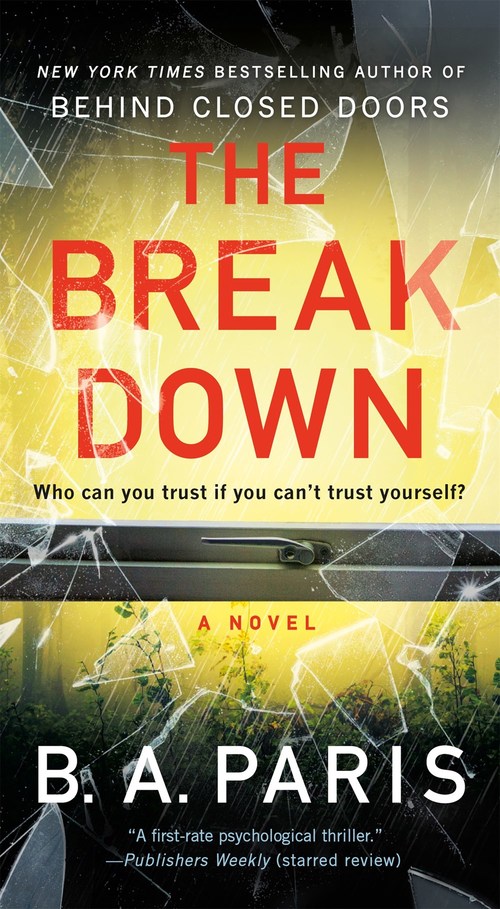 The Breakdown by B.A. Paris