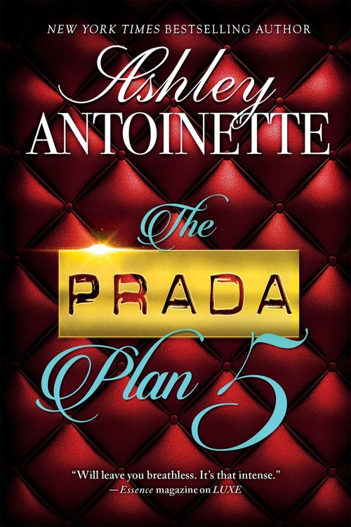 The Prada Plan 5 by Ashley Antoinette