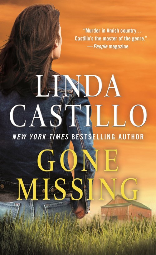 Gone Missing By Linda Castillo