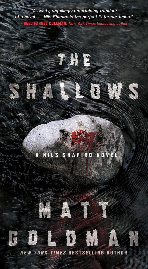 The Shallows by Matt Goldman