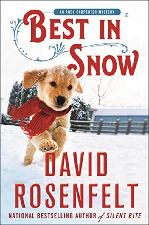 Best in Snow by David Rosenfelt