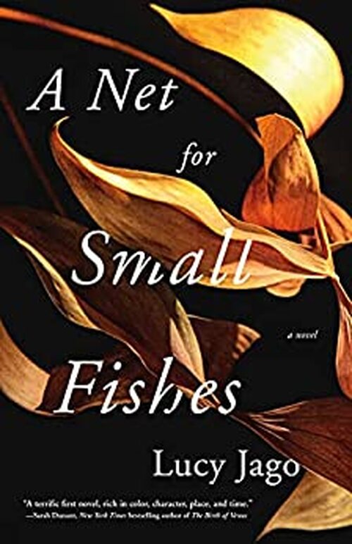A Net for Small Fishes by Lucy Jago