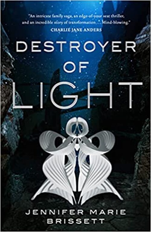 Destroyer of Light by Jennifer Marie Brissett