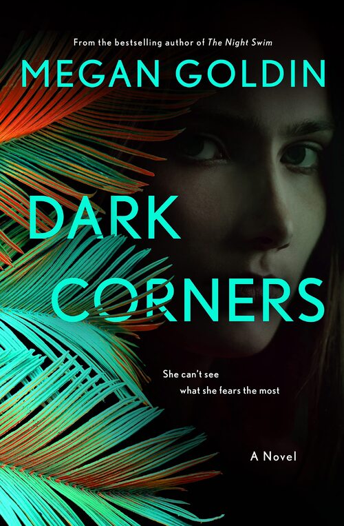 Dark Corners by Megan Goldin