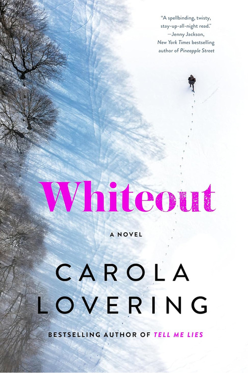 Whiteout by Carola Lovering