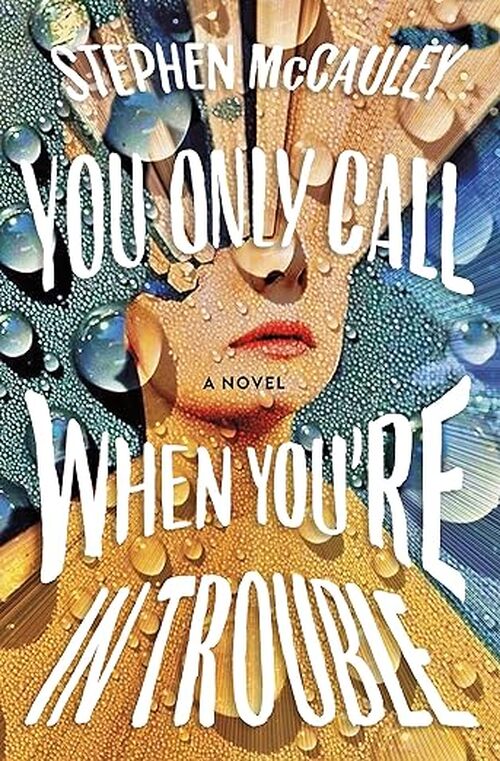 You Only Call When You're in Trouble by Stephen McCauley