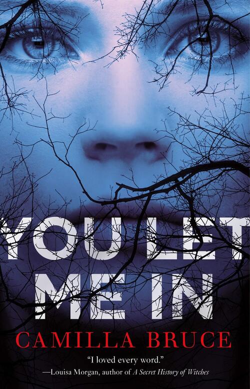 You Let Me In by Camilla Bruce