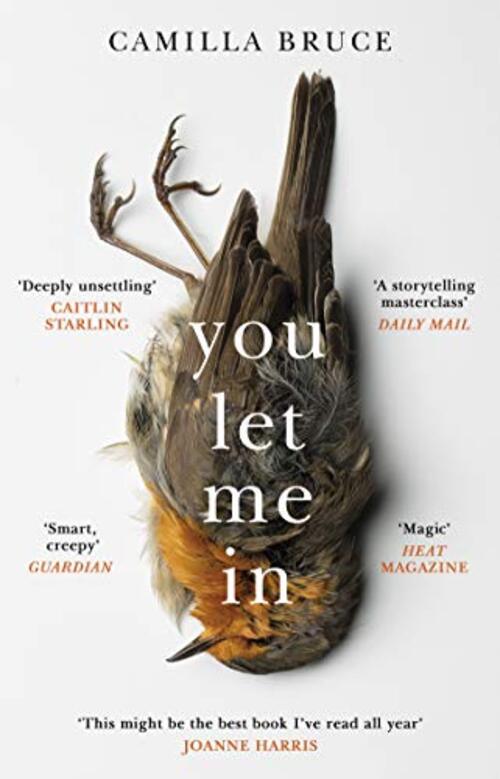 You Let Me In by Camilla Bruce