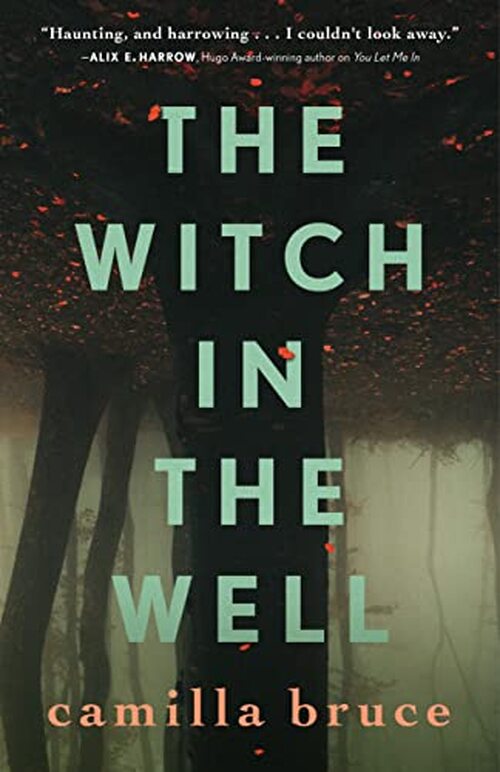 The Witch In The Well by Camilla Bruce