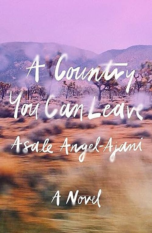 A Country You Can Leave by Asale Angel-Ajani