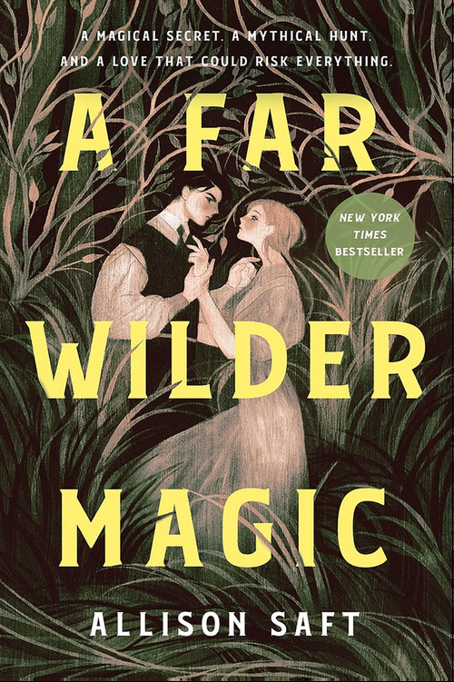 A Far Wilder Magic by Allison Saft
