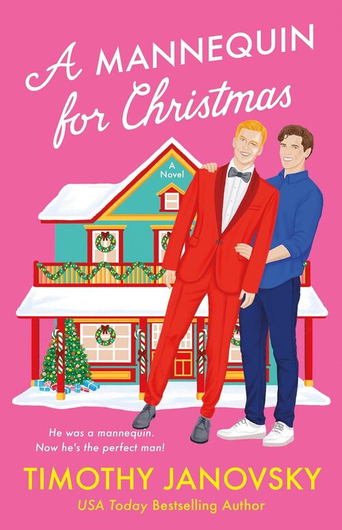 A Mannequin for Christmas by Timothy Janovsky