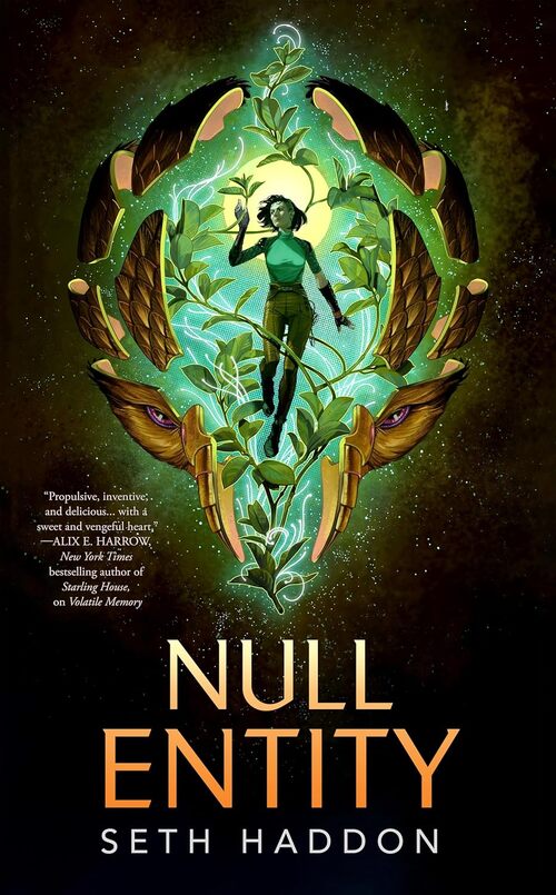 Null Entity by Seth Haddon
