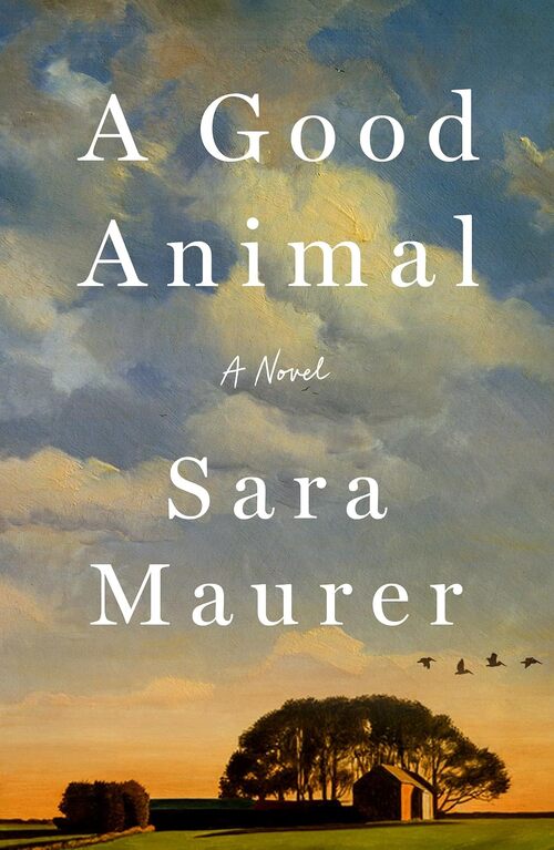A Good Animal by Sara Maurer