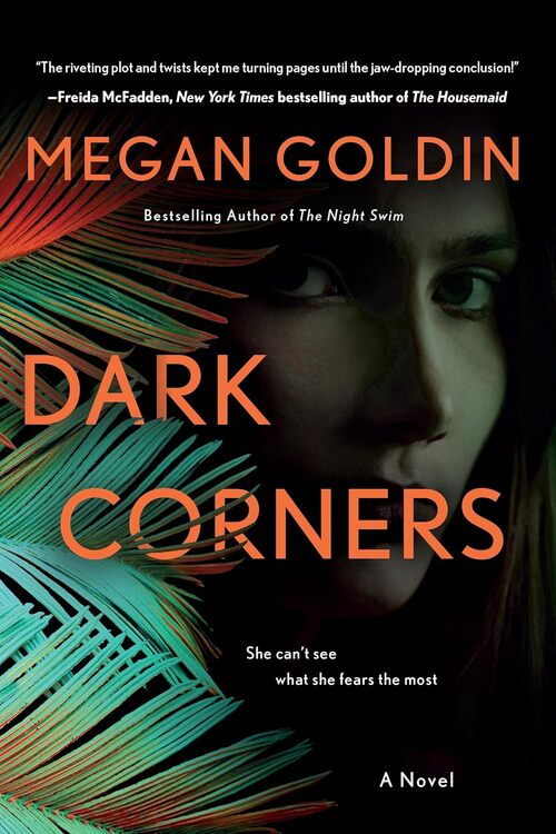 Dark Corners by Megan Goldin