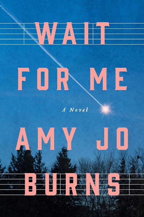 Wait for Me by Amy Jo Burns