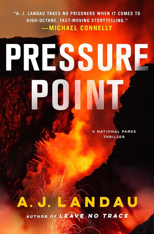 Pressure Point by A.J. Landau