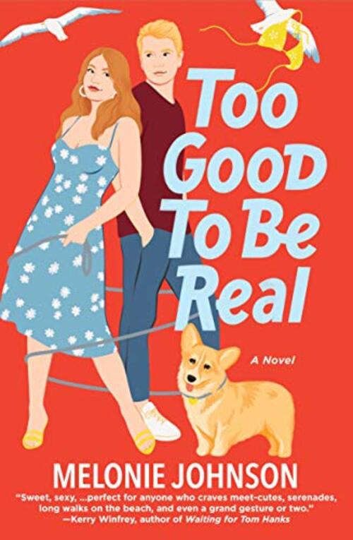 Too Good to Be Real by Melonie Johnson