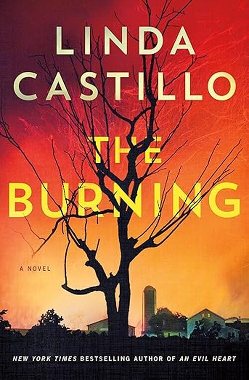 The Burning by Linda Castillo