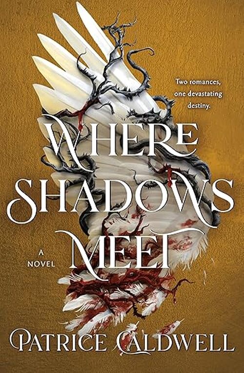 Where Shadows Meet by Patrice Caldwell