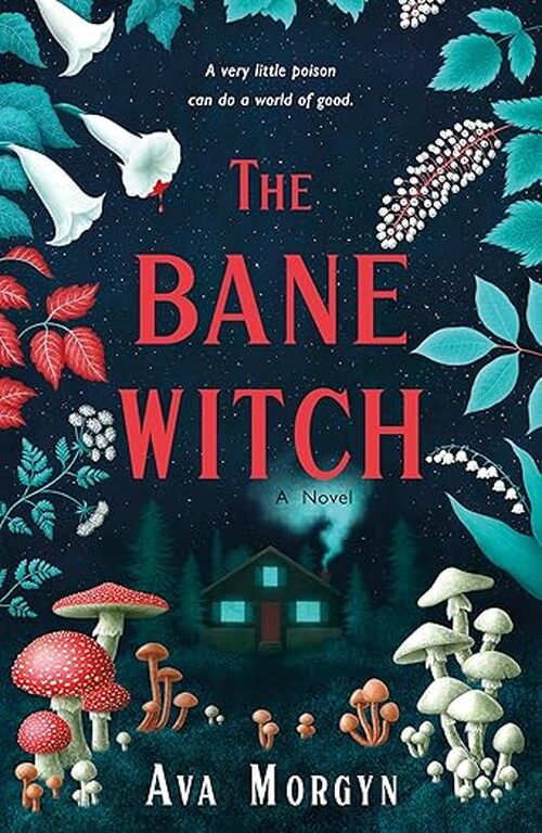 The Bane Witch by Ava Morgyn