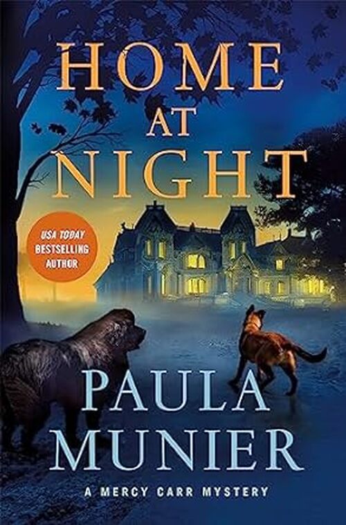 Home at Night by Paula Munier