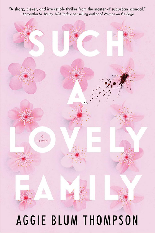 Such a Lovely Family by Aggie Blum Thompson